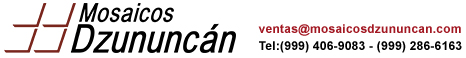 Mosaicos Decorados Dzununcan para pisos y muros
